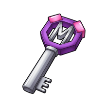 1x Master Key