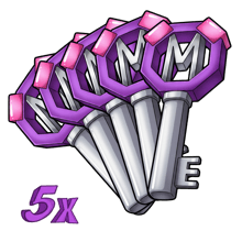 5x Master Key
