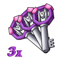 3x Master Key